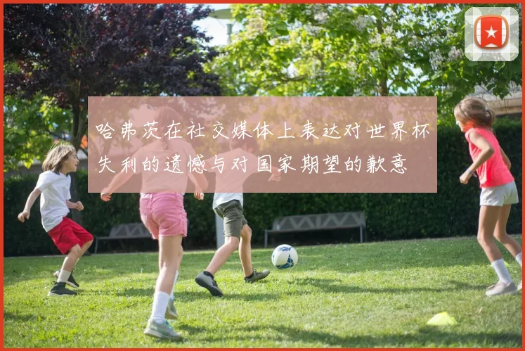 哈弗茨在社交媒体上表达对世界杯失利的遗憾与对国家期望的歉意